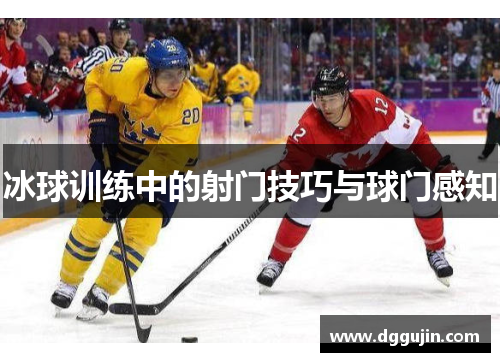 冰球训练中的射门技巧与球门感知